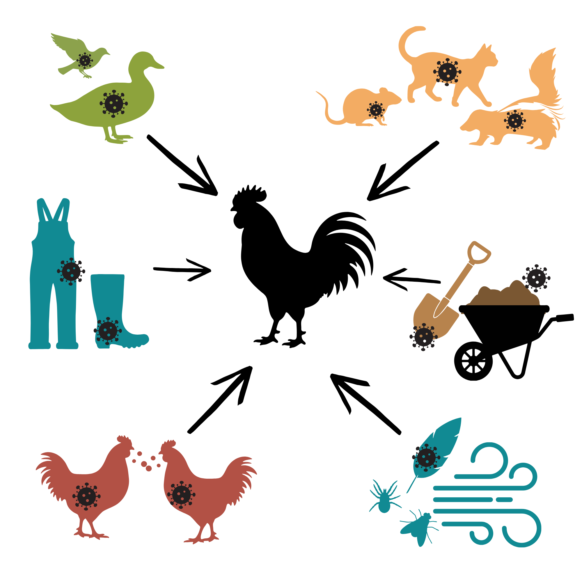 Silhouette of how diseases spread