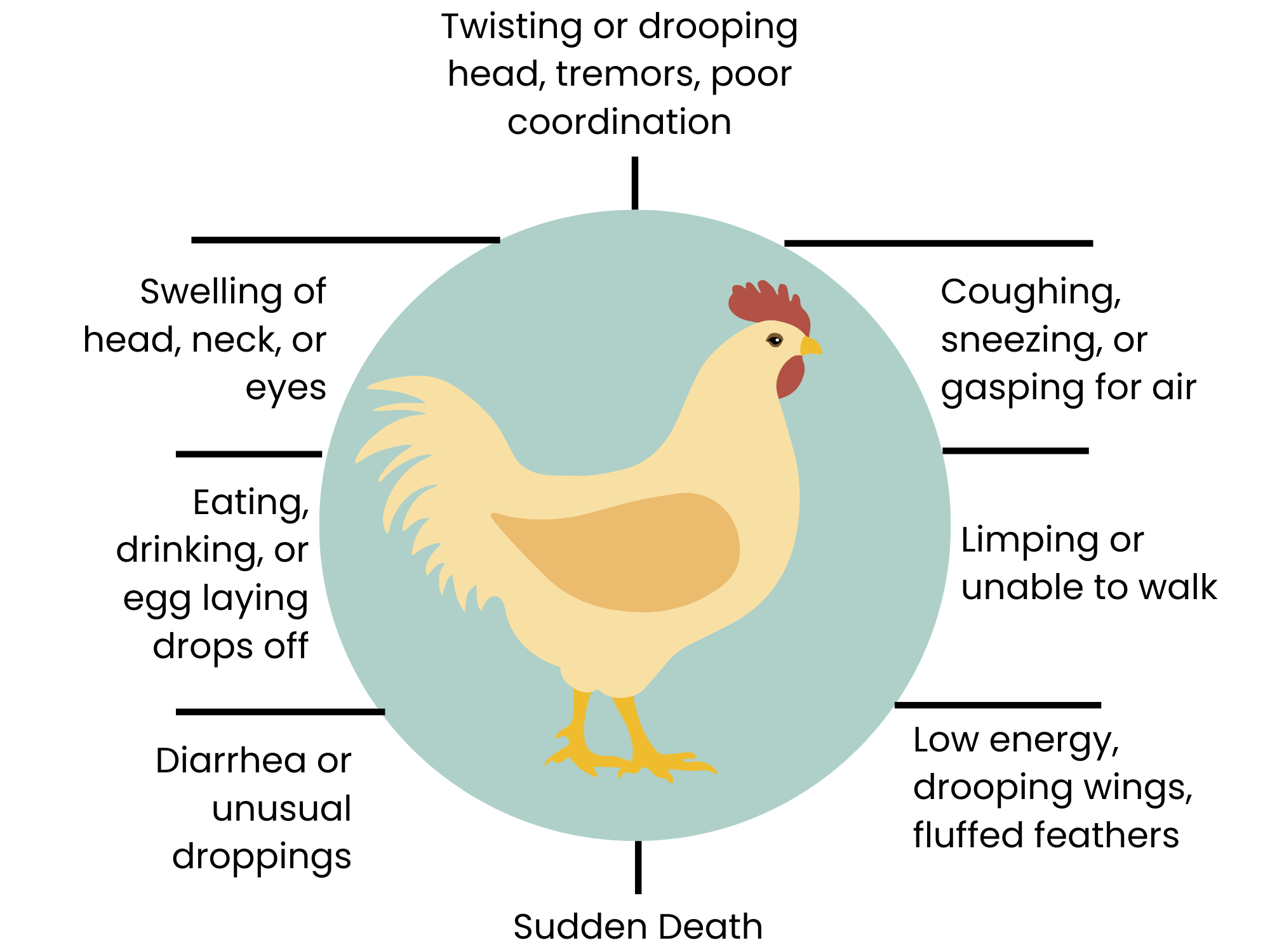 Monitor for disease symptoms guide for signs in your birds that are abnormal and may indicate disease in your flock