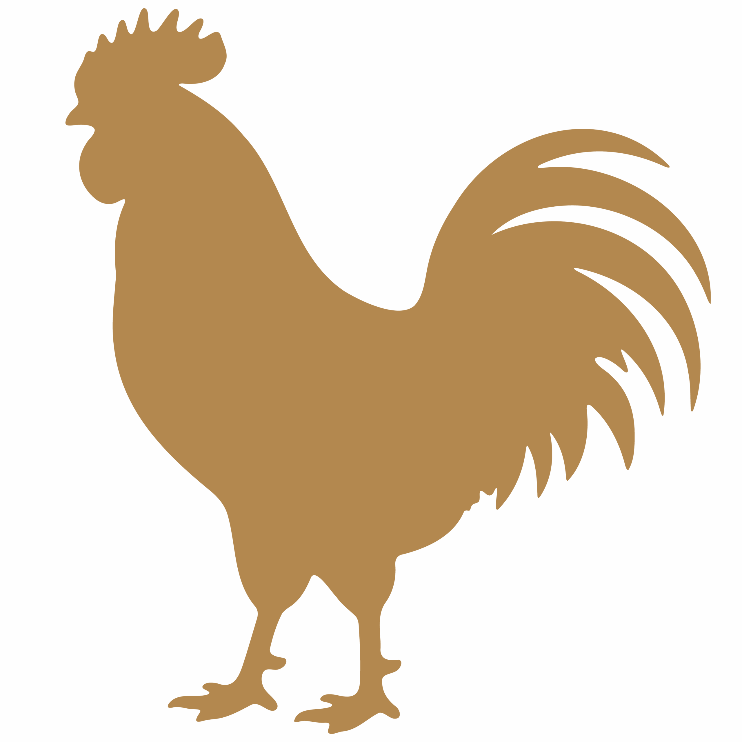 Silhouette icons of a rooster